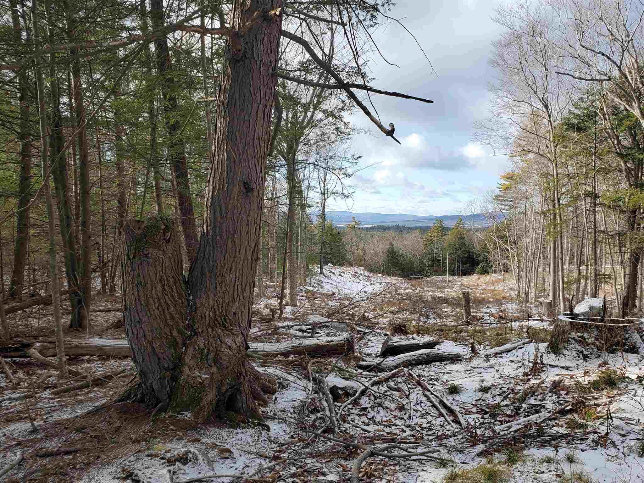 Lot 15 Buzzell Ridge Road, Unit 6 Sandwich, NH 03227 - Photo 9 of 31
