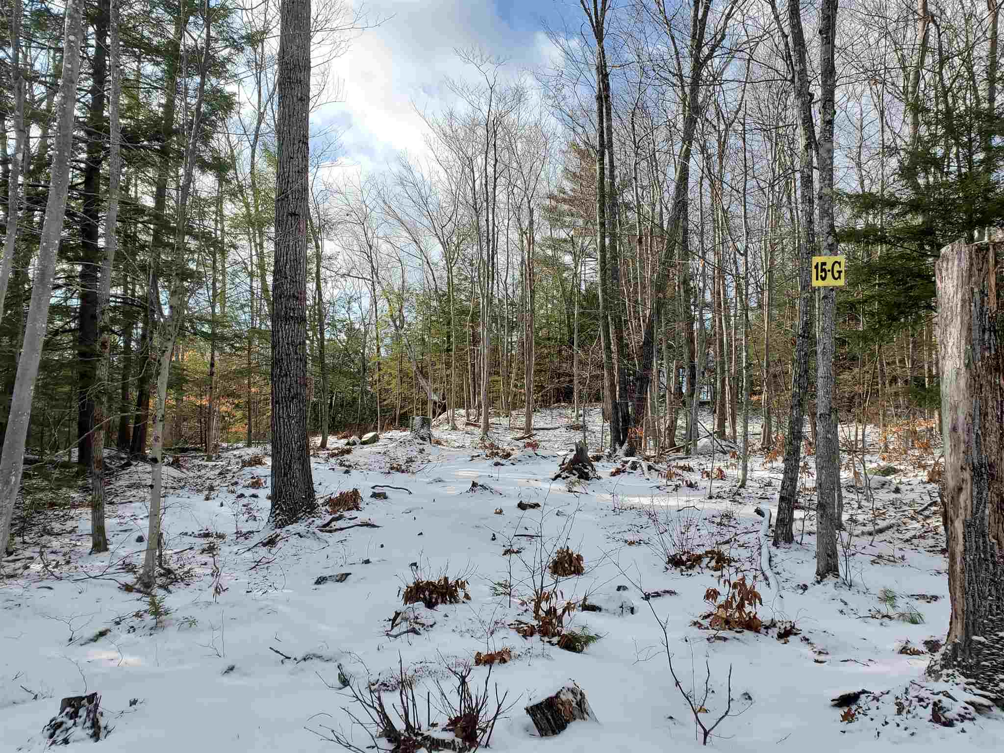 Lot 15 Buzzell Ridge Road, Unit 6 Sandwich, NH 03227 - Photo 10 of 31