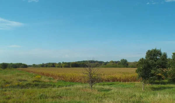 a view of lake with green space