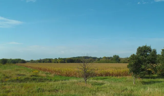 $155,750 | Tbd Il Rte 26 N, Orangeville, IL 61060