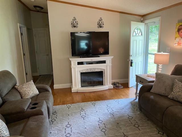 145 Anderson Road Johnson City, TN 37601 - Photo 3 of 14 IMG_1242