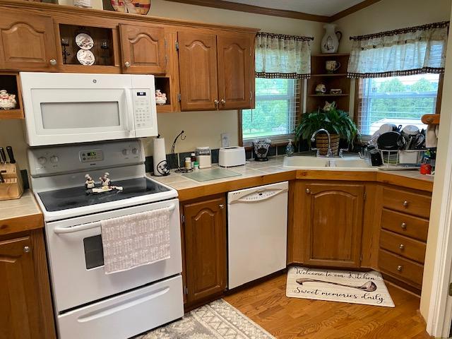 145 Anderson Road Johnson City, TN 37601 - Photo 10 of 14 IMG_1253