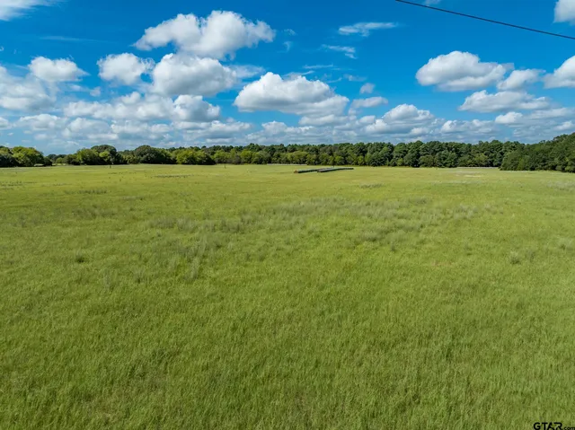 a view of an outdoor space and yard