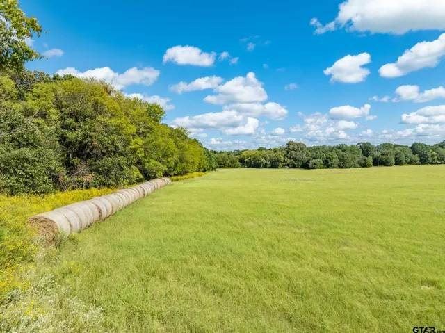 a view of a green field with lots of bushes