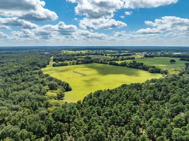 a view of a lake with a city