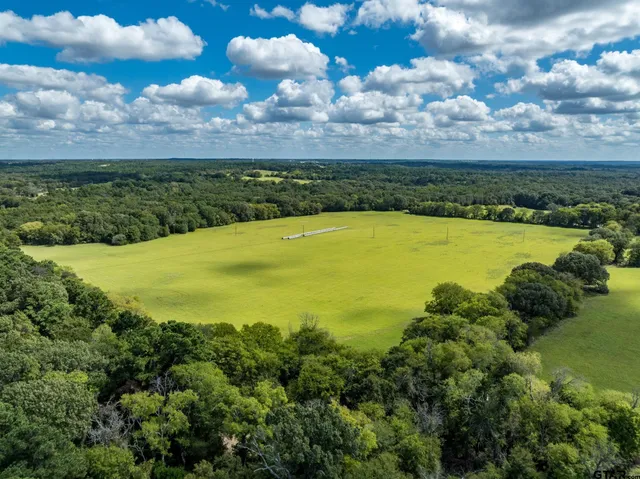 a view of an ocean and beach