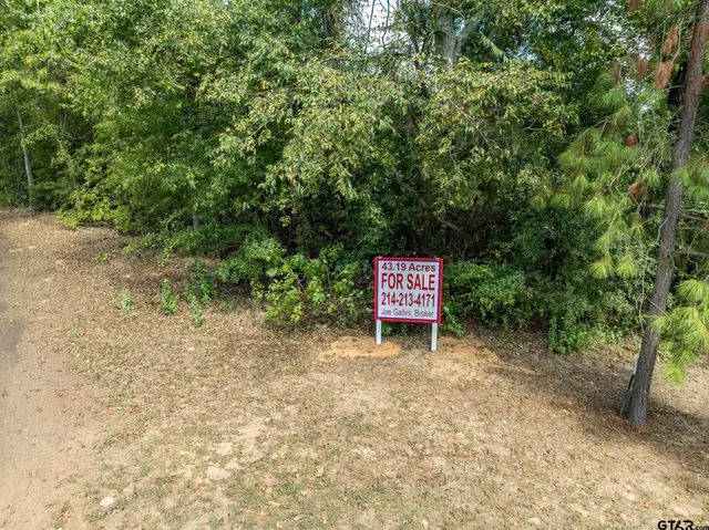 a wooden bench sitting in the middle of a forest