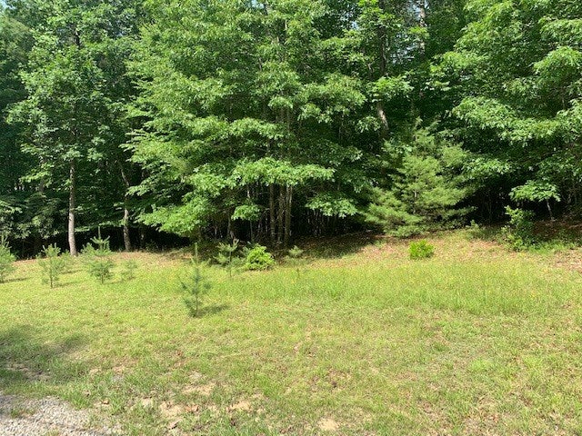 26 Ridge Line Trail, Unit 26 Independence, VA 24348 - Photo 10 of 11 Gallery Image 10