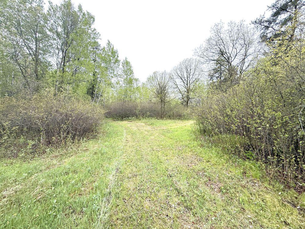 36 Co Highway 36 Frazee, MN 56544 - Photo 52 of 61