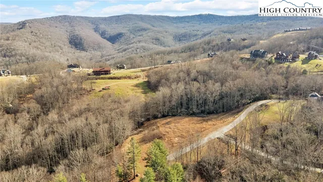 a view of a dry yard