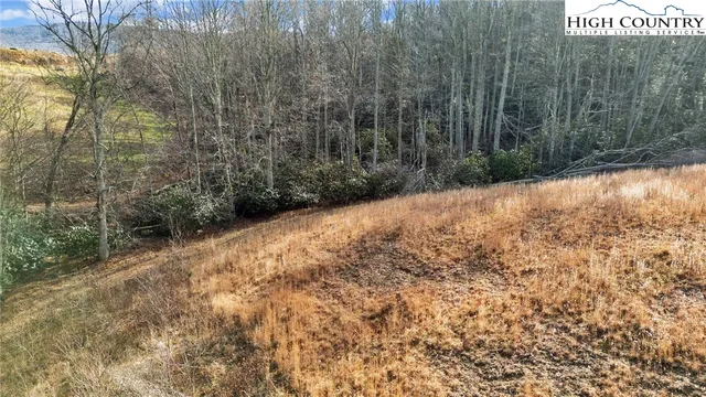 a view of backyard with green space