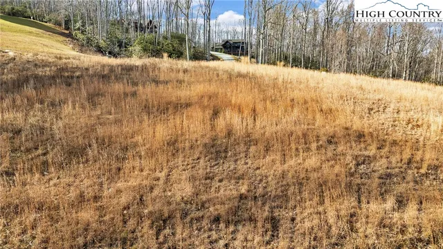 a view of a yard with trees