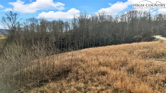 a view of a dry yard with trees in the background