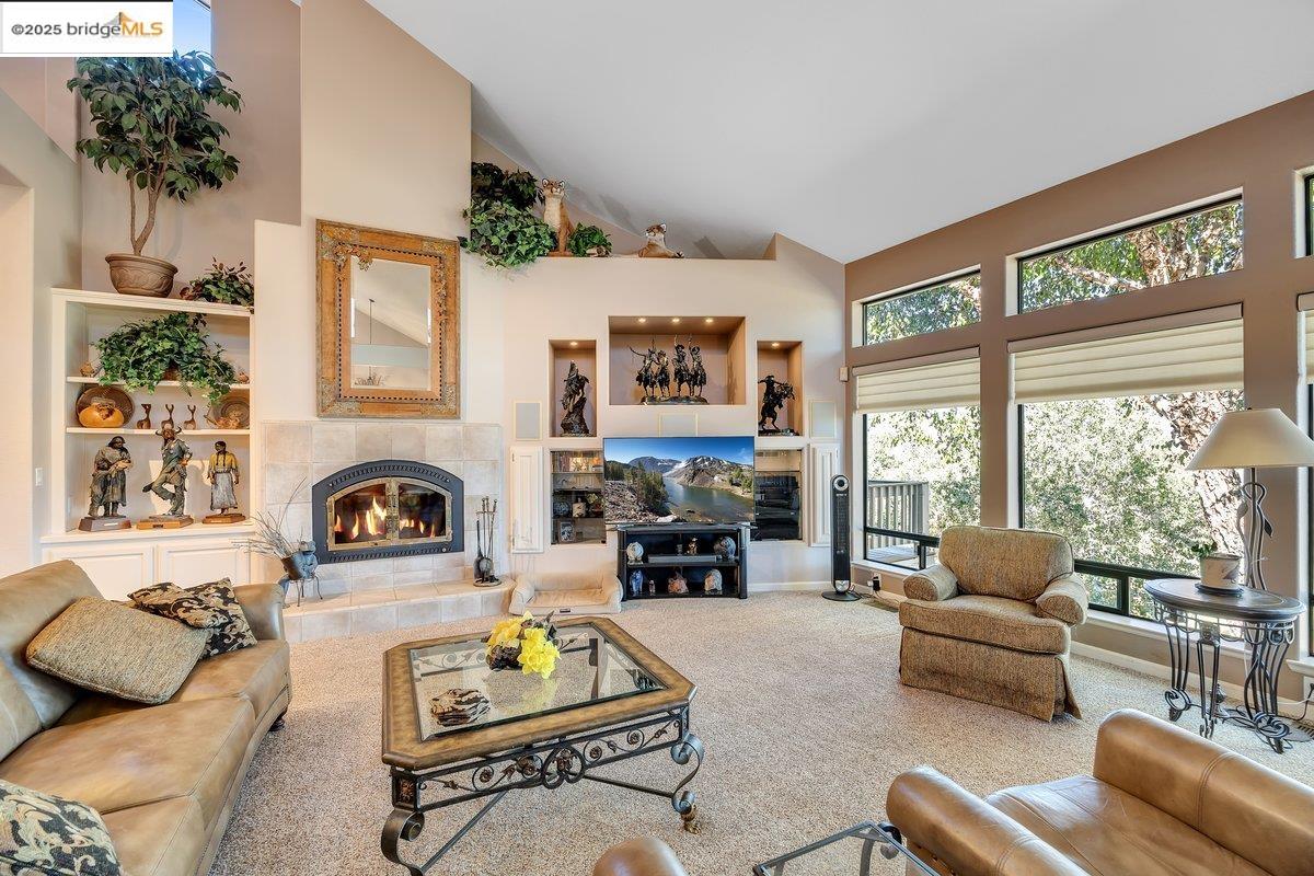 13700 Clements Road Groveland, CA 95321 - Photo 10 of 93 Carpeted living room featuring high vaulted ceiling and a fireplace