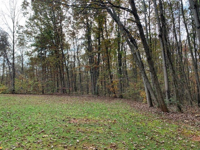 310 Holcomb Road Spout Spring, VA 24593 - Photo 15 of 19 Gallery Image 15