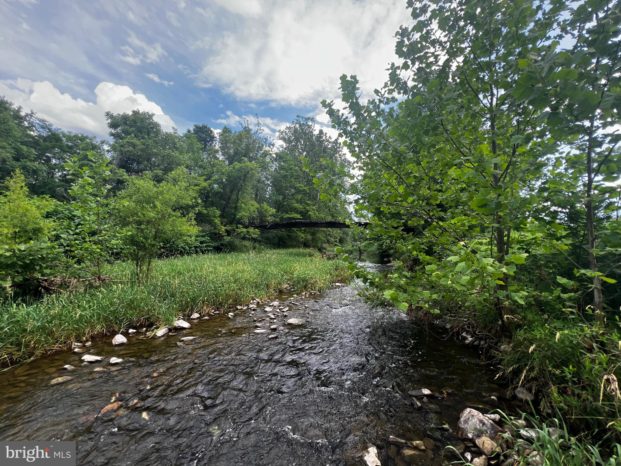 12125 State Road 259 Mathias, WV 26812 - Photo 5 of 40 Lost River
