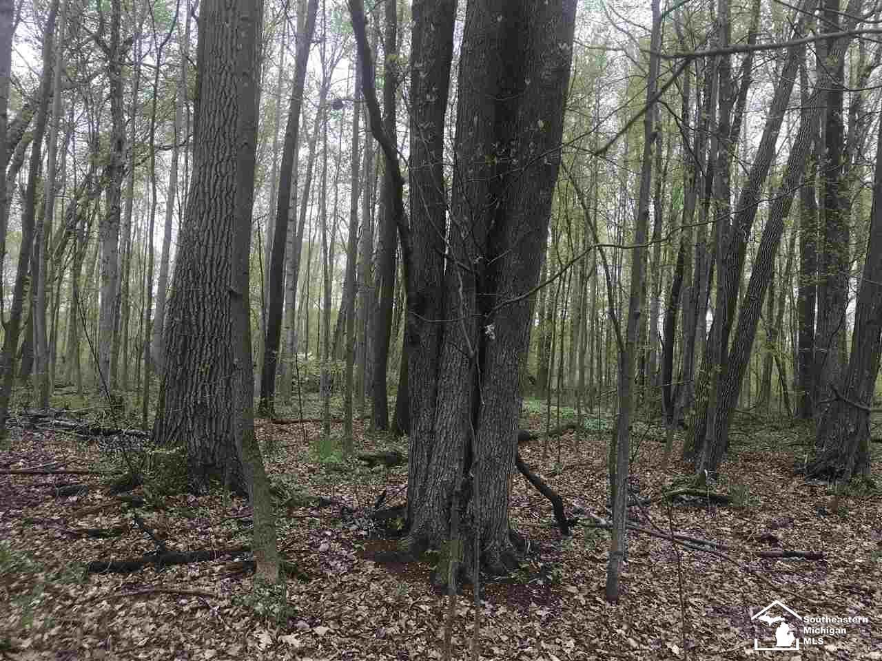 0 Bunton Road Milan, MI 48160 - Photo 21 of 22