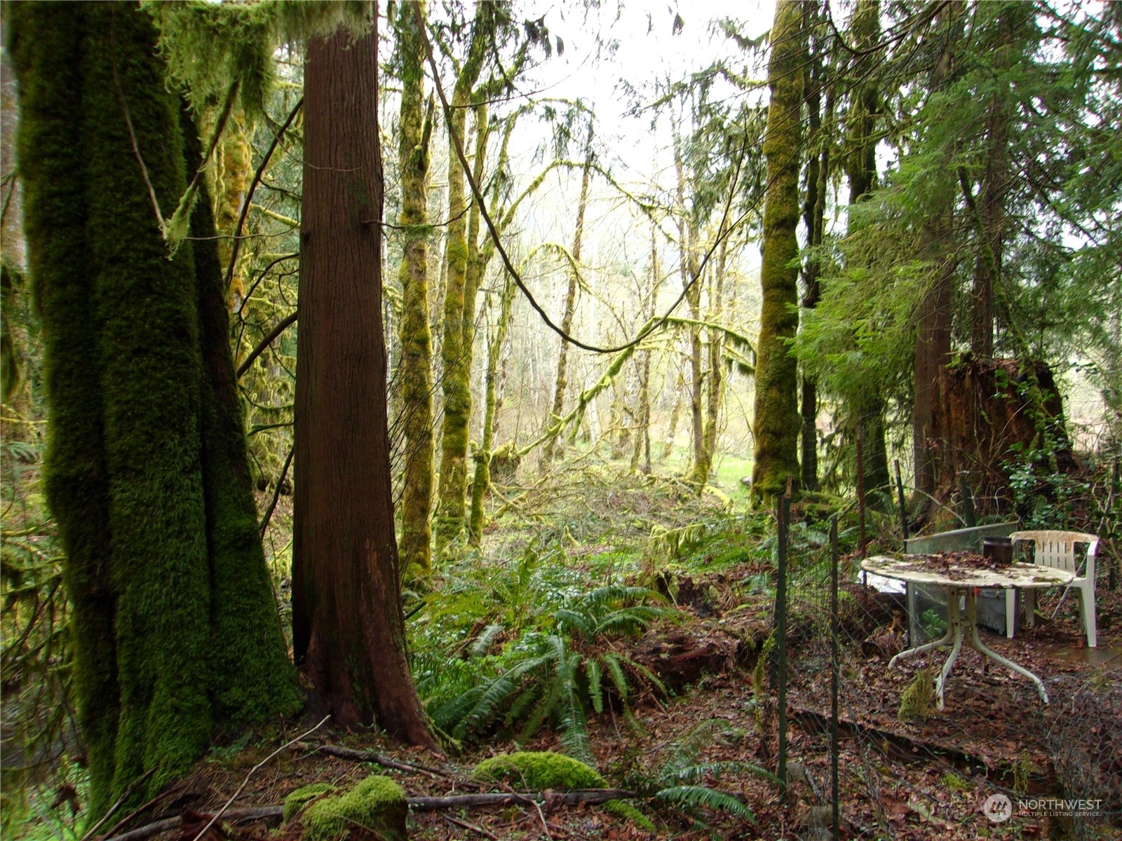 3007 Duckabush Road Brinnon, WA 98320 - Photo 4 of 9 Gallery Image 4