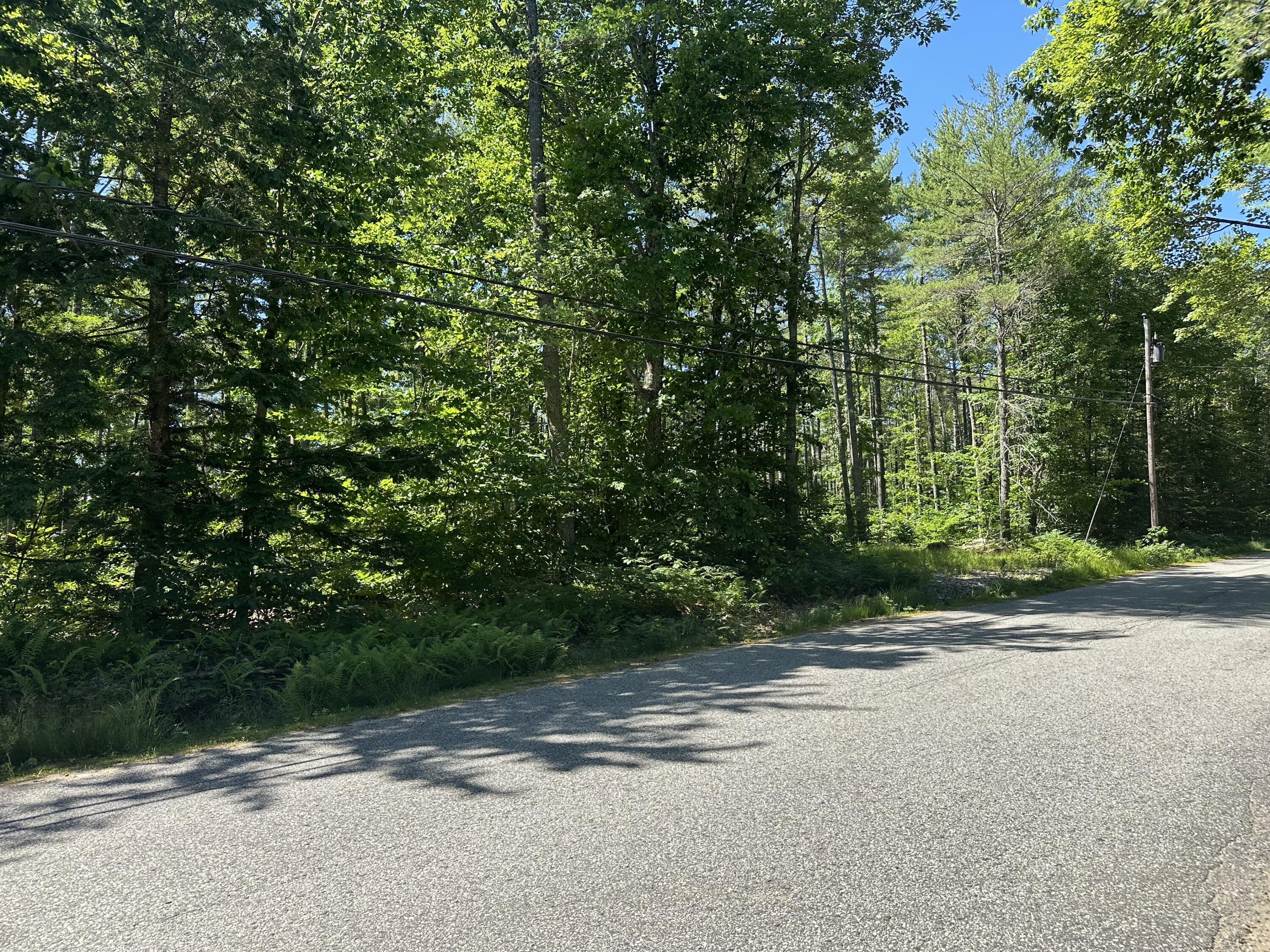 Lot 52 East Hio Ridge Road Bridgton, ME 04009 - Photo 3 of 4 Photo 3