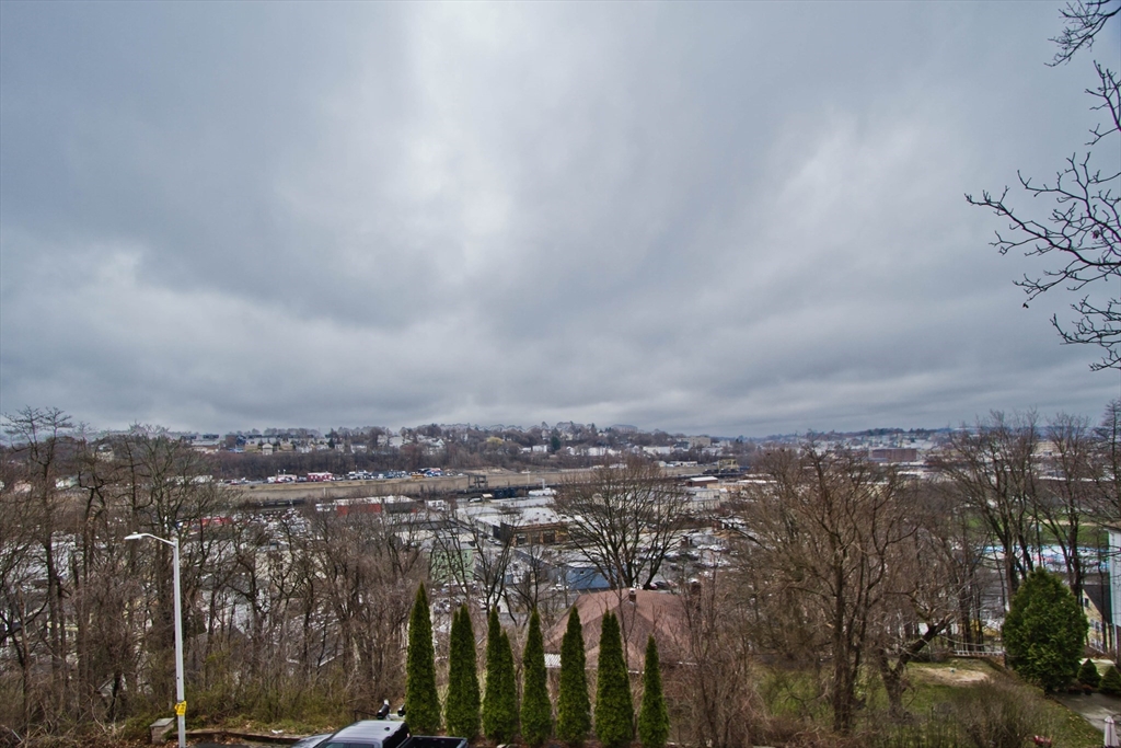 11 Chilmark Street Worcester, MA 01604 - Photo 20 of 20