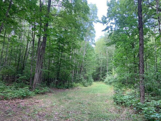 West Scott Road Ossineke, MI 49766 - Photo 1 of 15 Gallery Image 1
