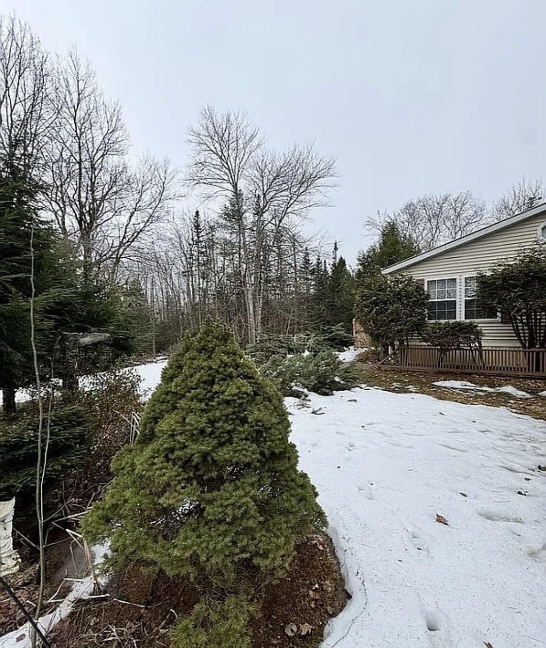 608 Beach Road Lincolnville, ME 04849 - Photo 3 of 9 4