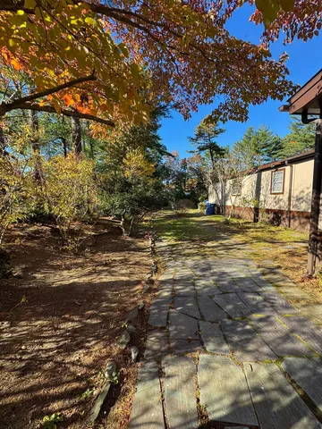 a view of a yard with a tree