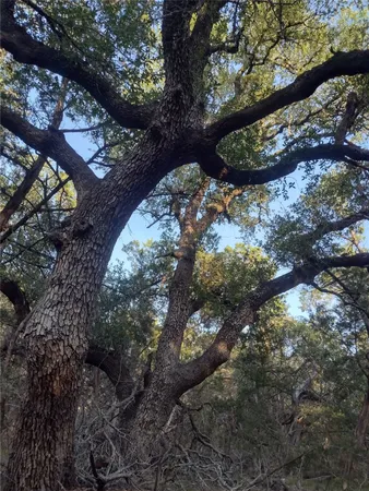$3,300,000 | 12621 Fitzhugh Road, Austin, TX 78736