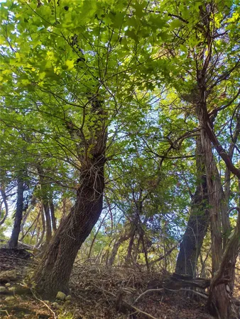 $3,300,000 | 12621 Fitzhugh Road, Austin, TX 78736