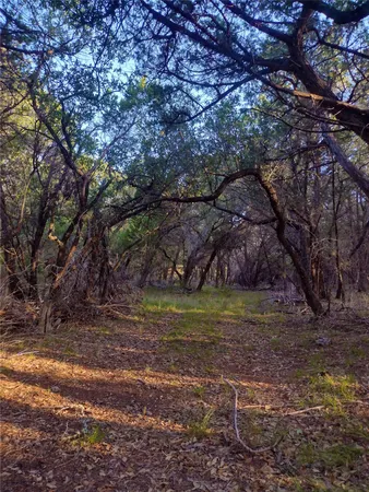 $3,300,000 | 12621 Fitzhugh Road, Austin, TX 78736