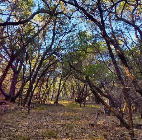 $3,300,000 | 12621 Fitzhugh Road, Austin, TX 78736