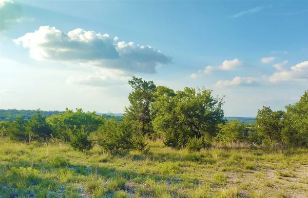 $3,300,000 | 12621 Fitzhugh Road, Austin, TX 78736