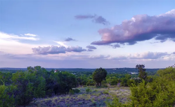 a view of a forest with a forest