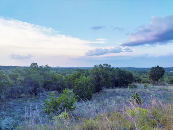 a view of a field