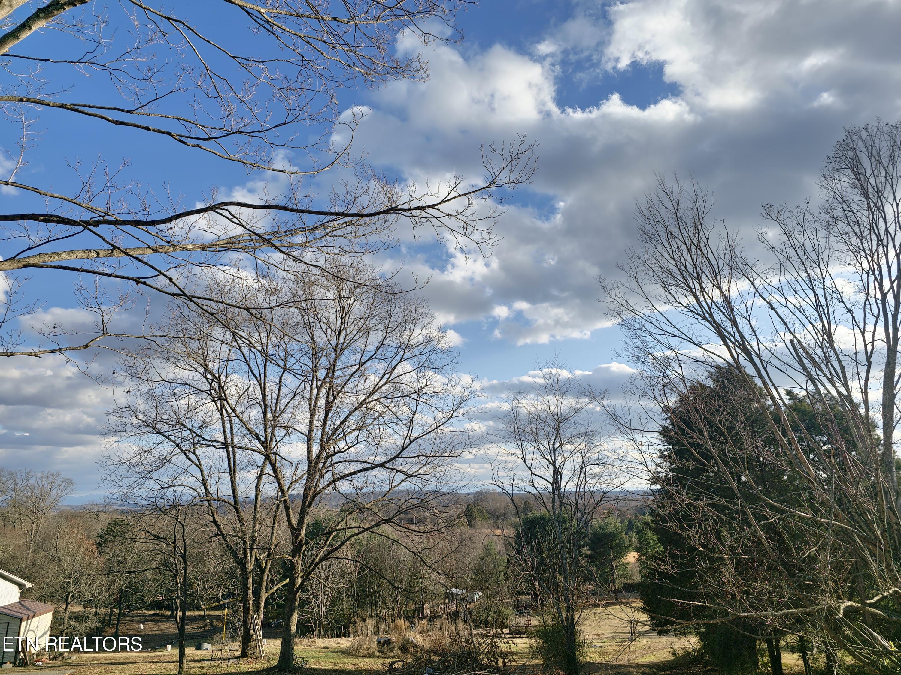 5201 Loudon Ridge Road Lenoir City, TN 37771 - Photo 8 of 26 1000005998