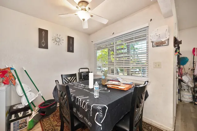 a view of a garden with plants and flowers