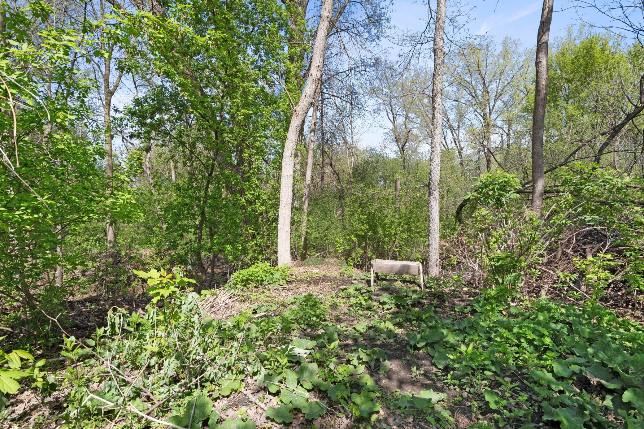 1559 McCarthy Road Eagan, MN 55121 - Photo 26 of 27