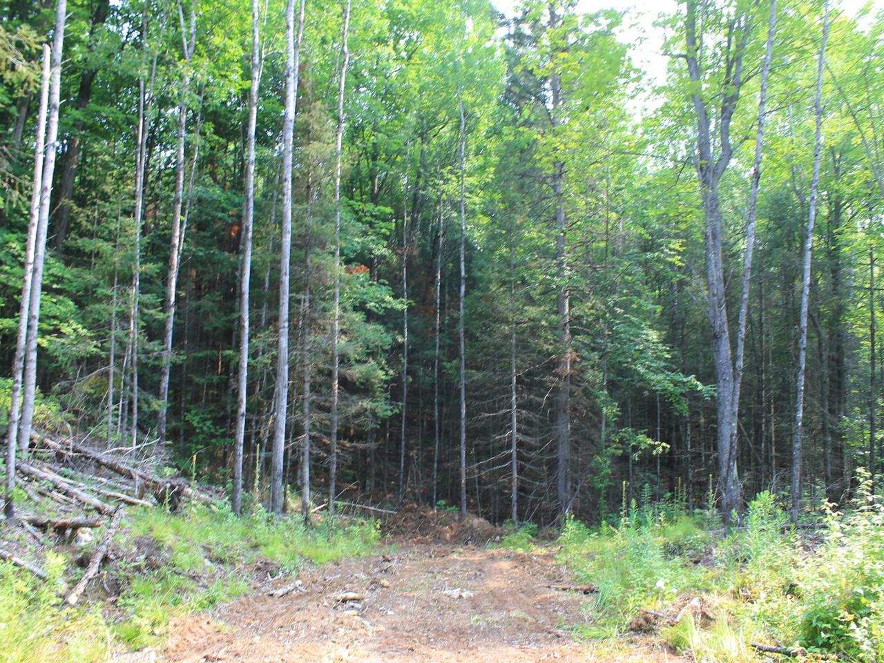 On Nathan Pass, Unit LT 32 Mercer, WI 54547 - Photo 32 of 33 Gallery Image 32