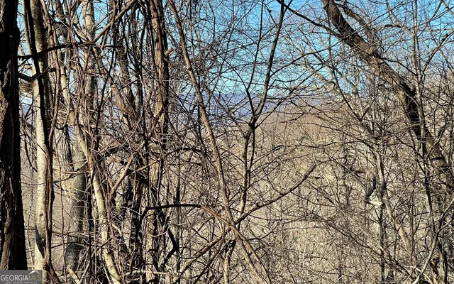 $45,000 | Lot 63 Dan Knob, Hayesville, NC 28904