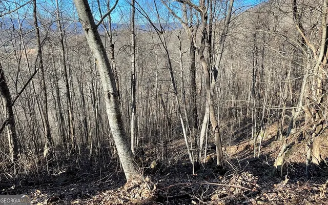 $45,000 | Lot 63 Dan Knob, Hayesville, NC 28904