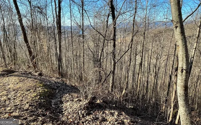 $45,000 | Lot 63 Dan Knob, Hayesville, NC 28904