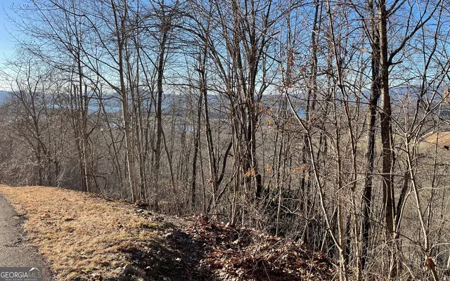 $45,000 | Lot 63 Dan Knob, Hayesville, NC 28904