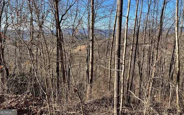 $45,000 | Lot 63 Dan Knob, Hayesville, NC 28904