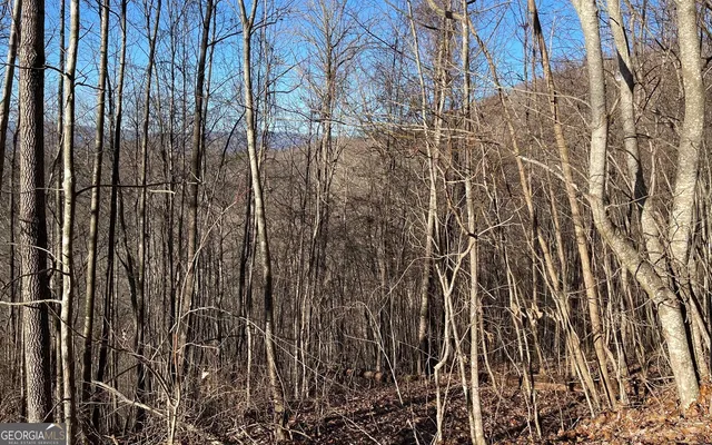 $45,000 | Lot 63 Dan Knob, Hayesville, NC 28904