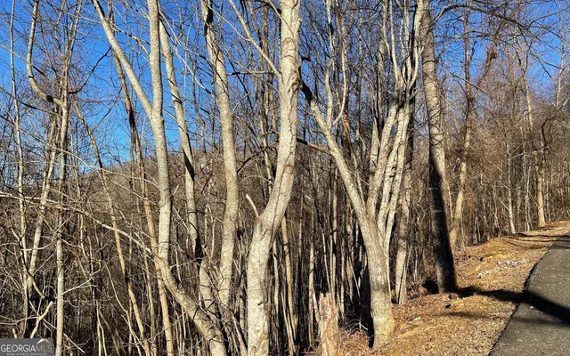 $45,000 | Lot 63 Dan Knob, Hayesville, NC 28904