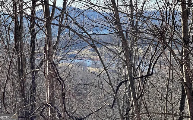 $45,000 | Lot 63 Dan Knob, Hayesville, NC 28904