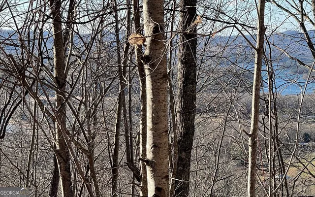 $45,000 | Lot 63 Dan Knob, Hayesville, NC 28904