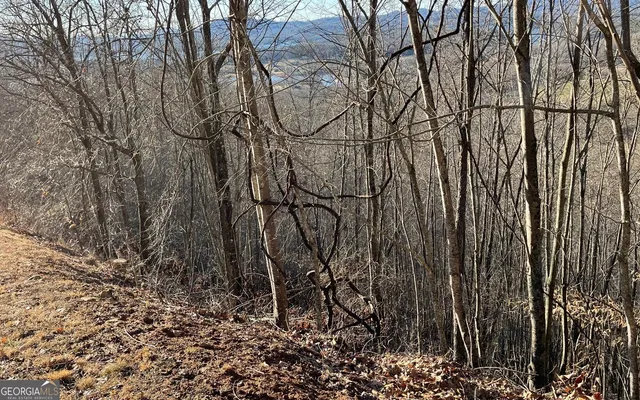 $45,000 | Lot 63 Dan Knob, Hayesville, NC 28904