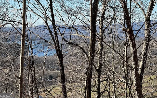 $45,000 | Lot 63 Dan Knob, Hayesville, NC 28904