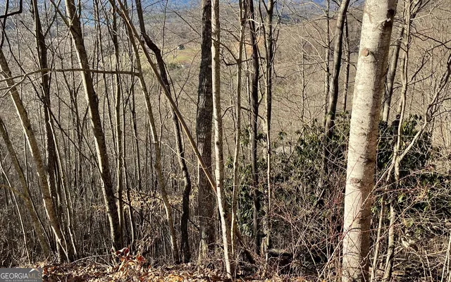 $45,000 | Lot 63 Dan Knob, Hayesville, NC 28904